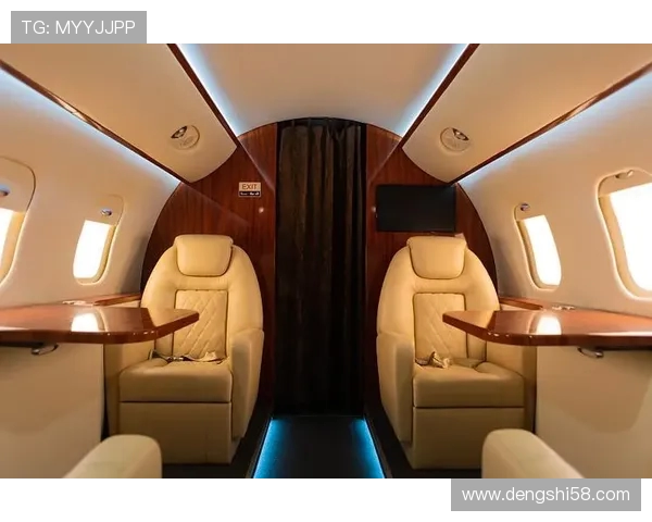 飞机客舱内部空气的流场模拟